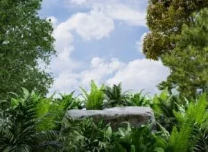 How Plants Can Clean up the Mess Human Make