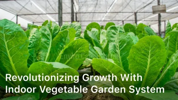 Revolutionizing Growth with Indoor Vegetable Garden System