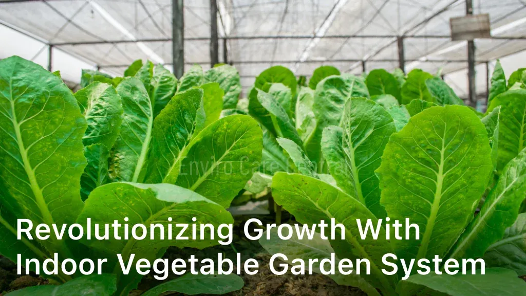 Revolutionizing Growth with Indoor Vegetable Garden System
