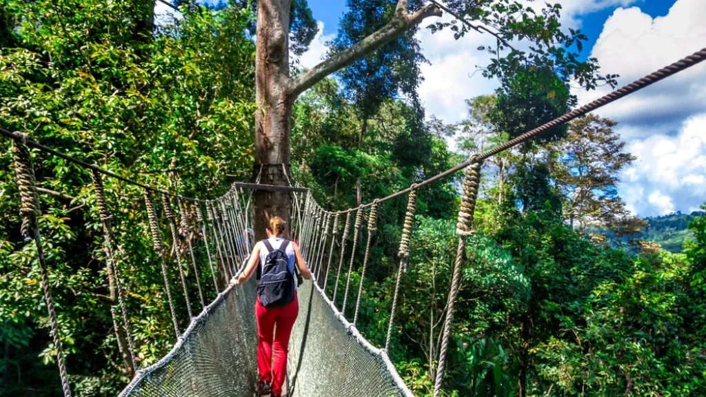 Explore the Top 10 Ecotourism Destinations in the World